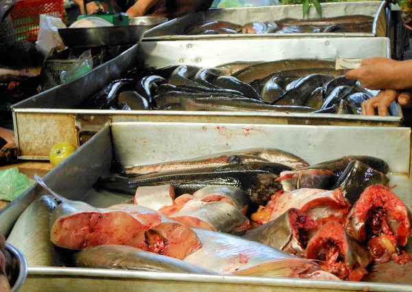 シェムリアップのオールドマーケット、魚売場