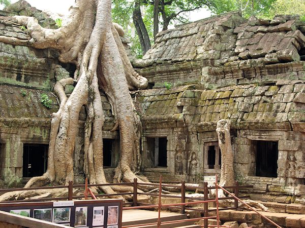 タ・プロームのガジュマルの根に押しつぶされそうな建物