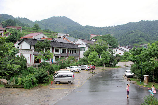 龍井茶の故郷、龍井村