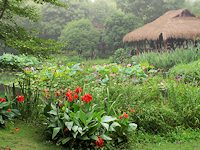 杭州の茅家埠