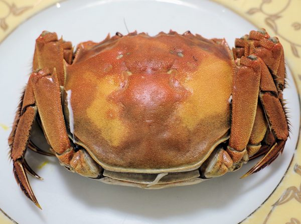 蟹 上海 上海蟹が丸わかり！旬や値段はもちろん、陽澄湖付近で安く食べたい人から高級カニラーメンまで詳しく紹介します！