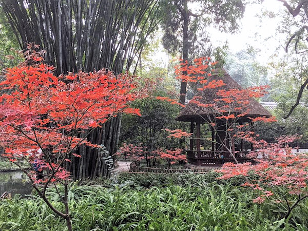 紅葉と少陵草堂（成都の杜甫草堂）