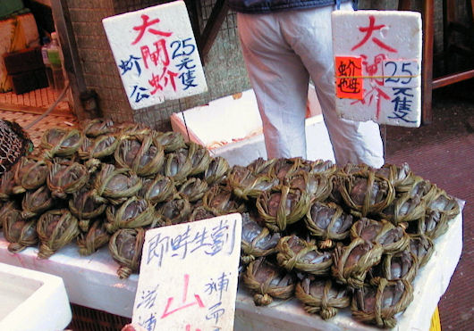上海蟹を売る店（香港湾仔）