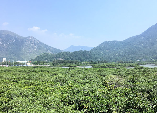 自然があふれる香港大澳（タイオー）