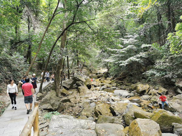 肇慶の鼎湖山風景区