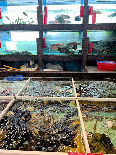 深圳の広東料理レストラン