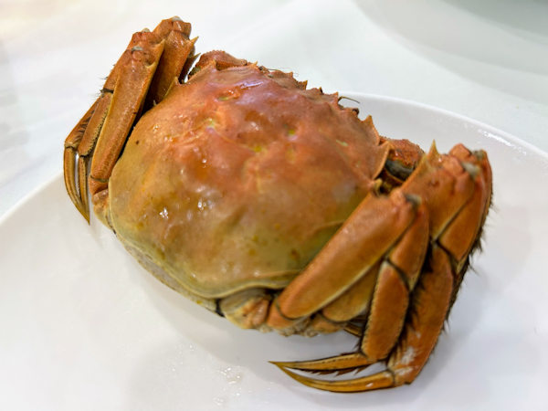 深圳で食べた上海ガニ