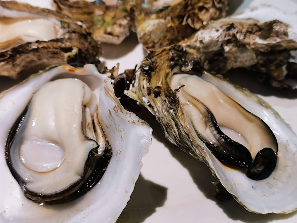 台山の生牡蠣
