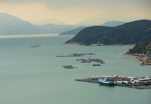 香港の南Ｙ島（ラマ島）