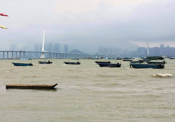 香港、流浮山から見た深圳