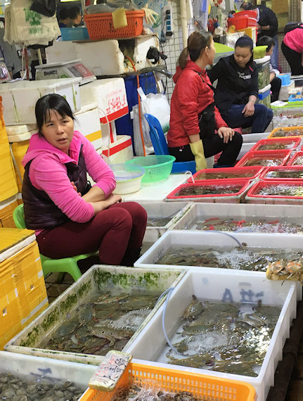 深圳・蛇口市場で海鮮料理（香港から行けます）