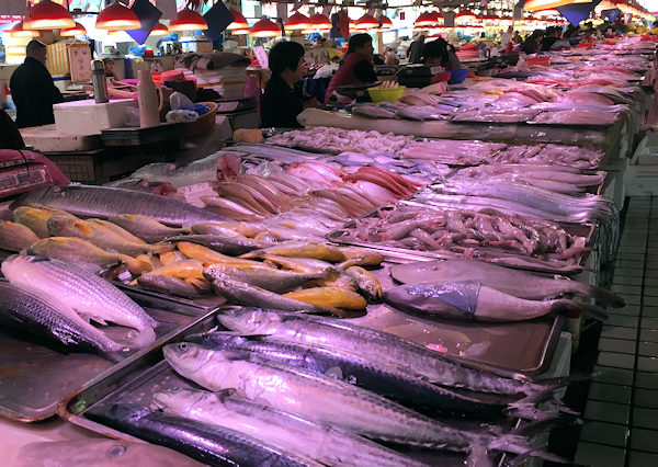 深圳・蛇口市場で海鮮料理（香港から行けます）