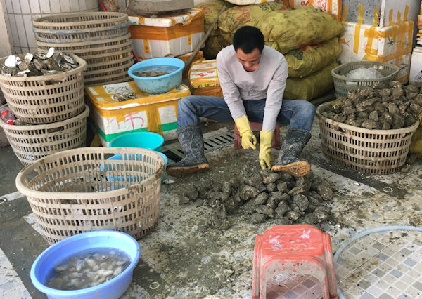 深圳・蛇口市場で海鮮料理（海鮮加工）