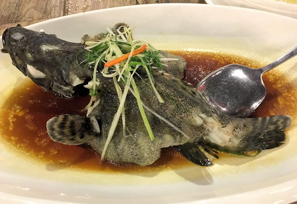 香港で食べたいガルーパ（石斑）