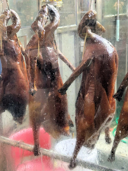 美味しいガチョウのロースト（順徳・一家人）