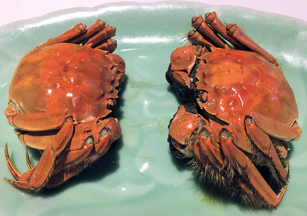 深圳の江南厨子で食べた上海蟹