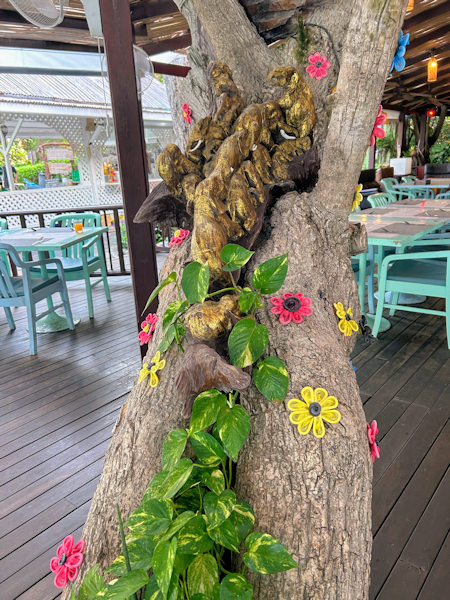 �p�^���̃L���x�[�W�A���h�R���h�[���Y�X��