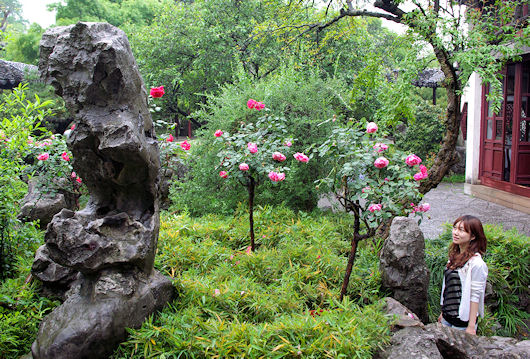 蘇州、留園（女性と紅い花）