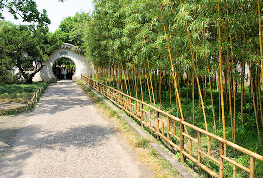 蘇州の拙政園:見山楼北側の竹林