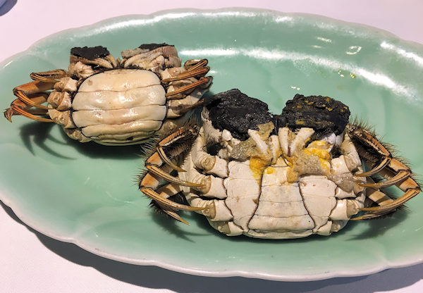 上海蟹のメスとオス