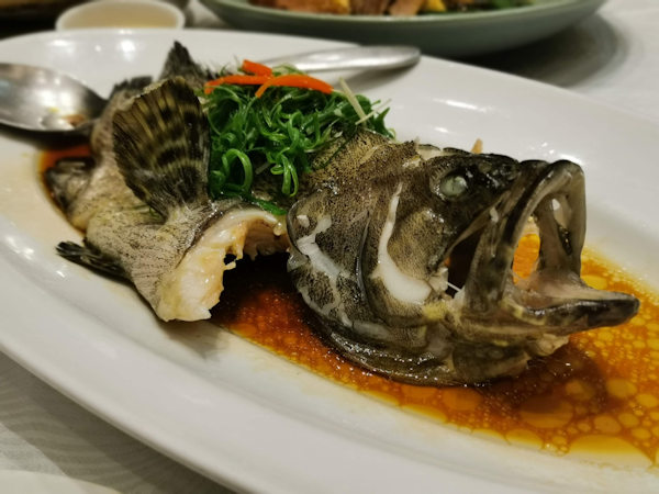 深圳の広東料理、唐宮で海鮮料理（ガルーパ）