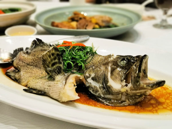 深圳の広東料理、唐宮で海鮮料理（ガルーパ）
